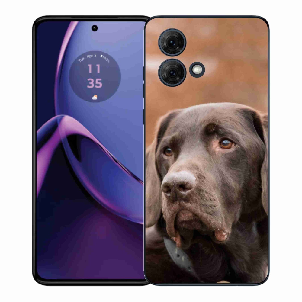 Gelový kryt mmCase na Motorola Moto G84 5G - hnědý labrador
