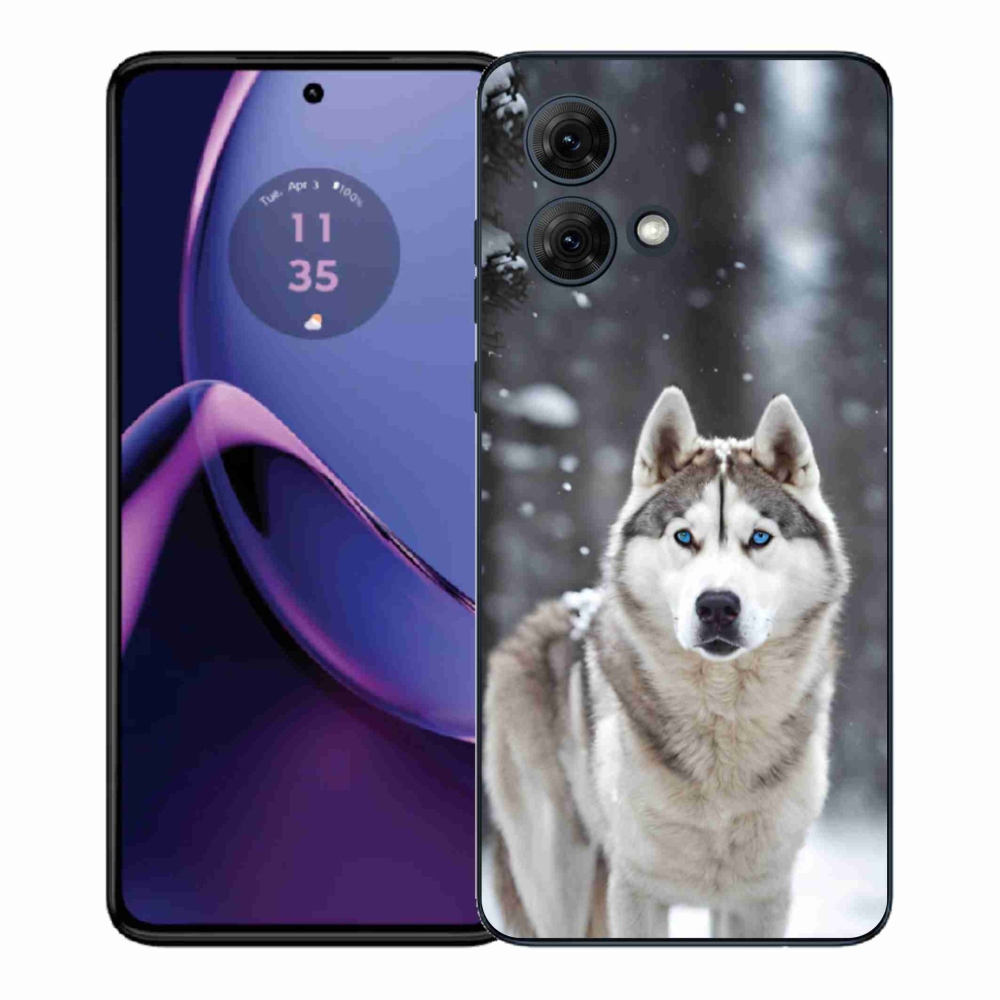 Gelový kryt mmCase na Motorola Moto G84 5G - husky 2