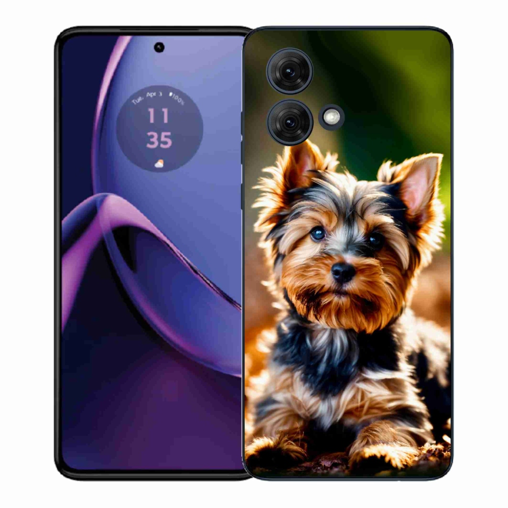 Gelový kryt mmCase na Motorola Moto G84 5G - jorkšír 10