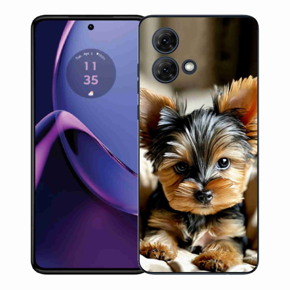 Gelový kryt mmCase na Motorola Moto G84 5G - jorkšír 11