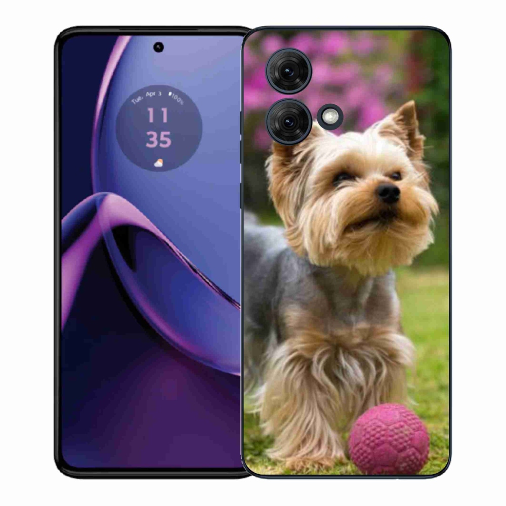 Gelový kryt mmCase na Motorola Moto G84 5G - jorkšír 4