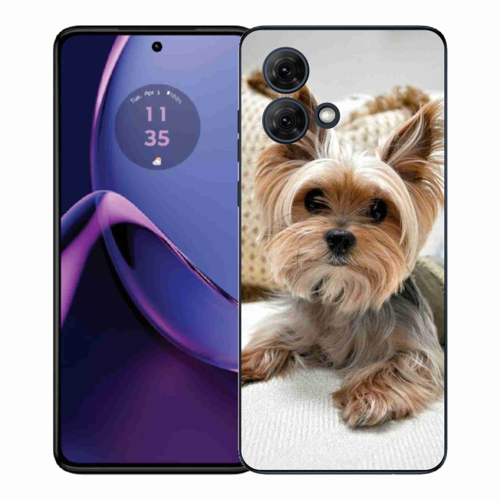 Gelový kryt mmCase na Motorola Moto G84 5G - jorkšír 5