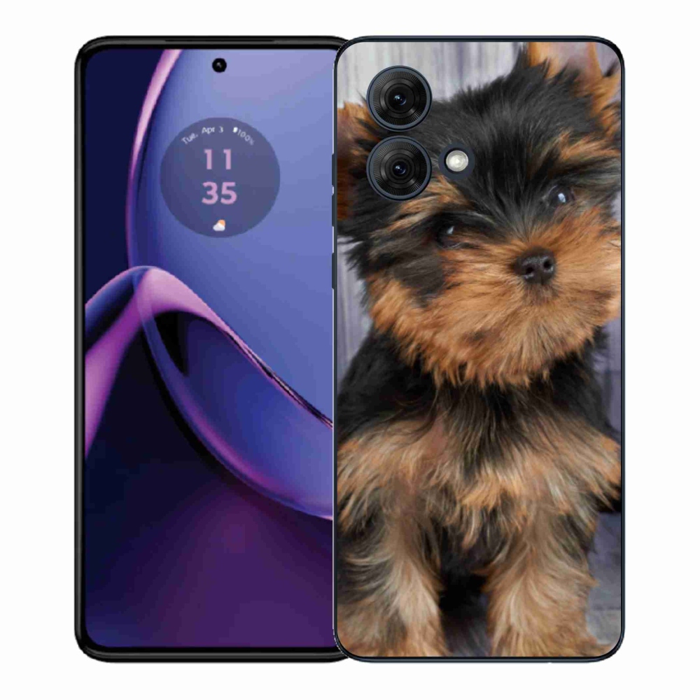 Gelový kryt mmCase na Motorola Moto G84 5G - jorkšír 9