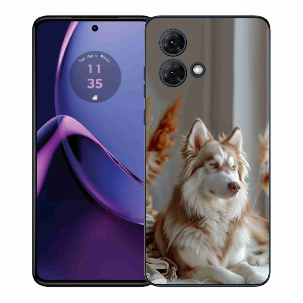 Gelový kryt mmCase na Motorola Moto G84 5G - klidný sibiřský husky