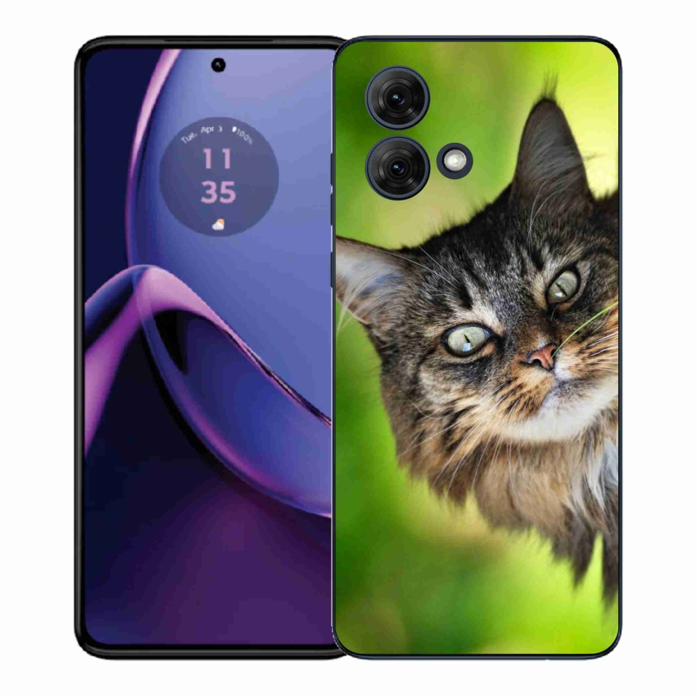 Gelový kryt mmCase na Motorola Moto G84 5G - kočka 3