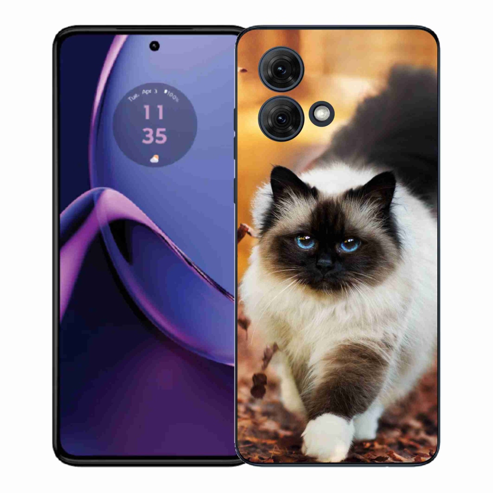 Gelový kryt mmCase na Motorola Moto G84 5G - kočka