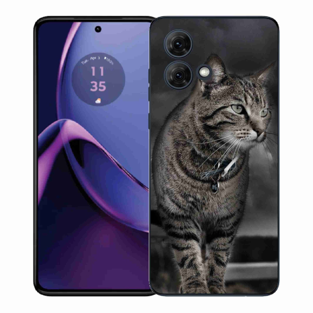 Gelový kryt mmCase na Motorola Moto G84 5G - kočka