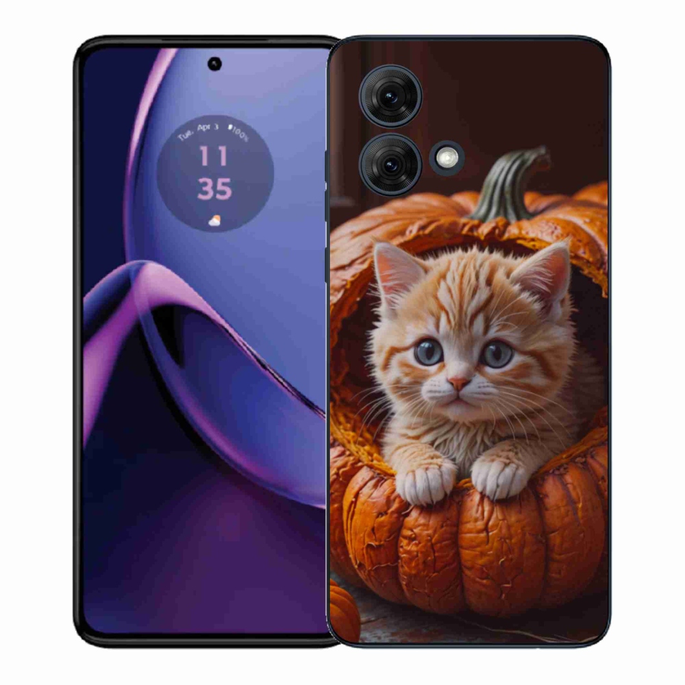 Gelový kryt mmCase na Motorola Moto G84 5G - kotě a dýně 2