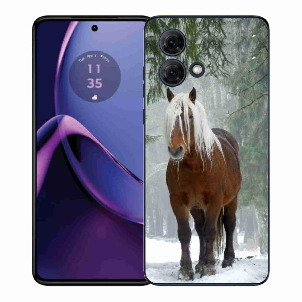 Gelový kryt mmCase na Motorola Moto G84 5G - kůň v lese