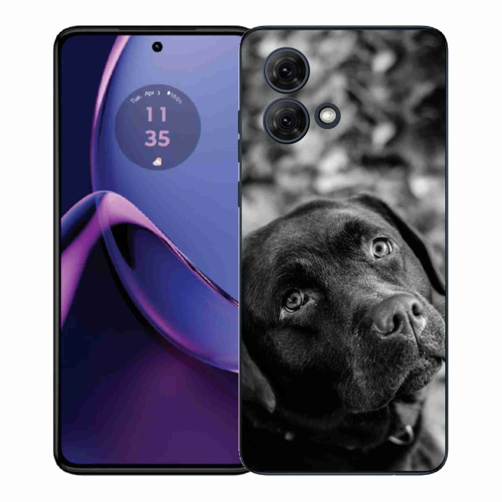 Gelový kryt mmCase na Motorola Moto G84 5G - labrador