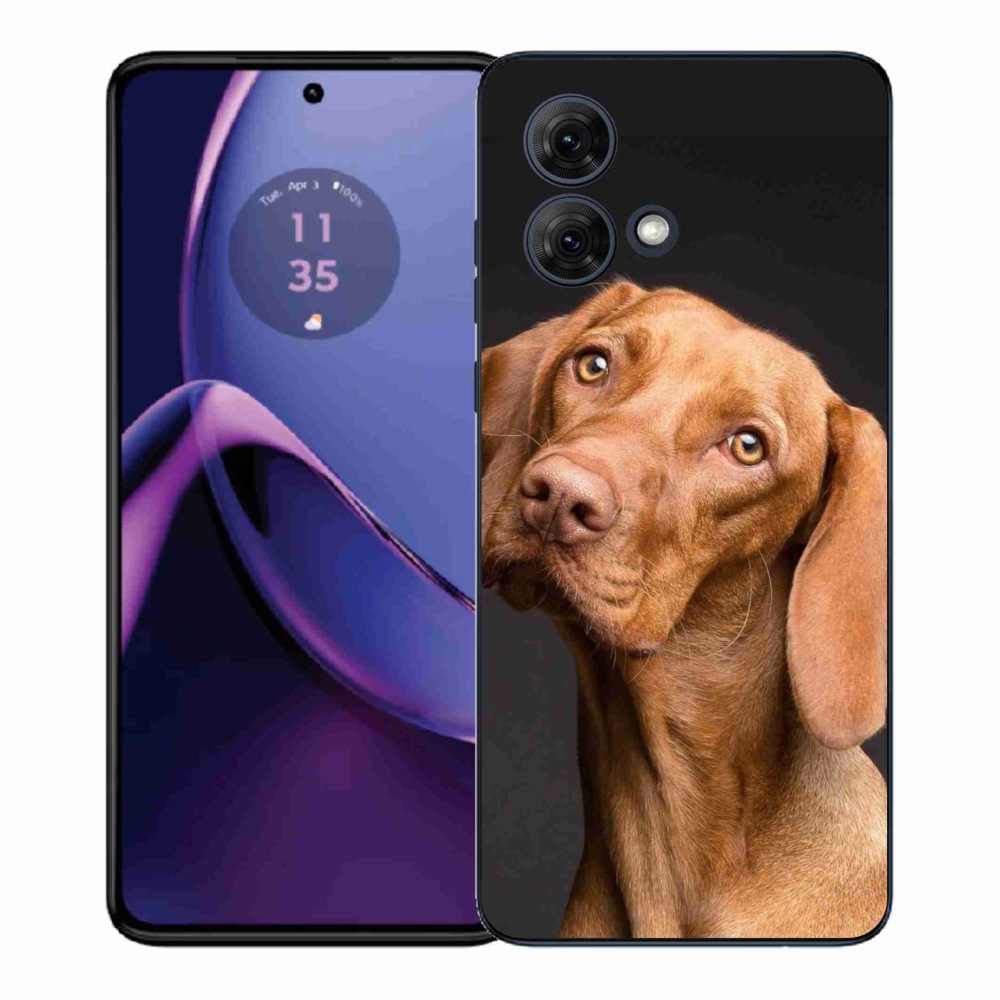 Gelový kryt mmCase na Motorola Moto G84 5G - maďarský ohař