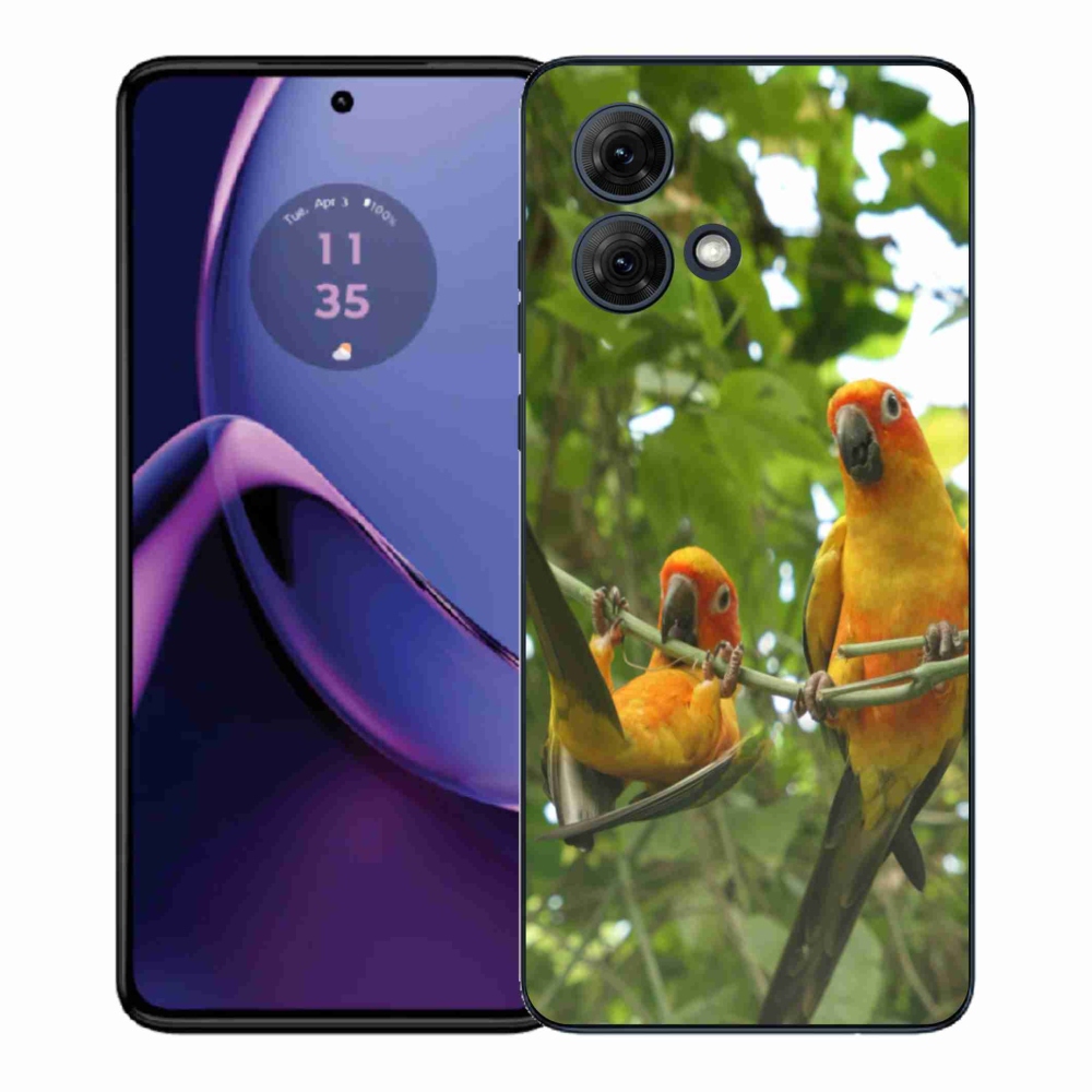 Gelový kryt mmCase na Motorola Moto G84 5G - papoušci aratingy