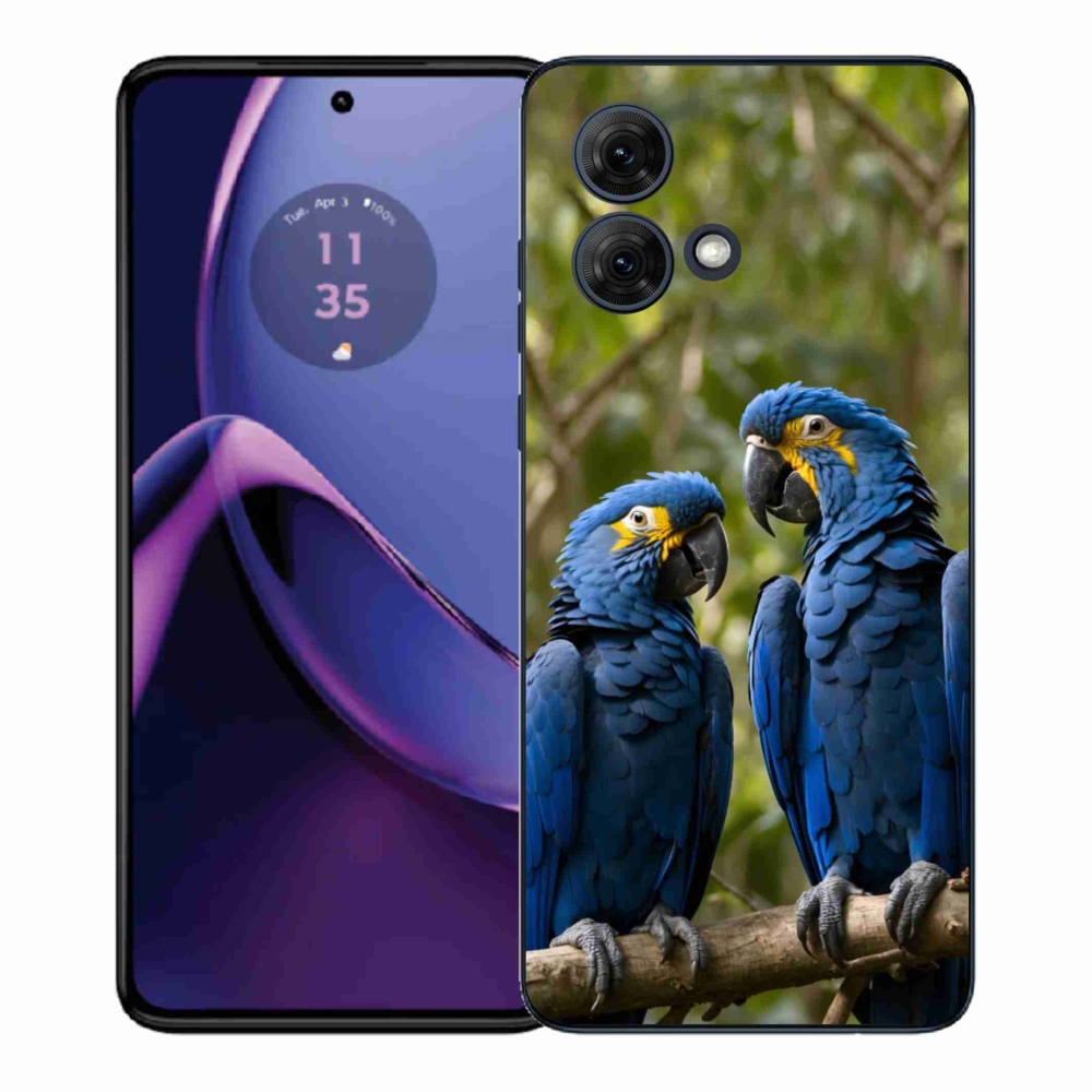 Gelový kryt mmCase na Motorola Moto G84 5G - papouščí duo