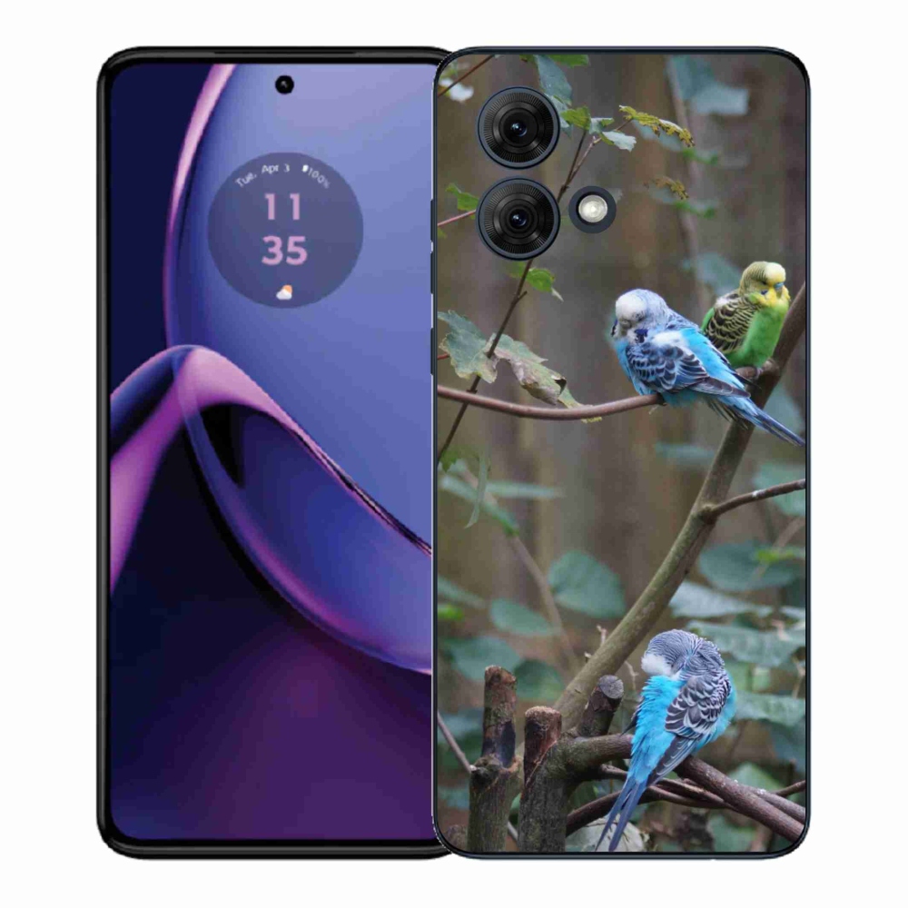Gelový kryt mmCase na Motorola Moto G84 5G - papoušci na větvi