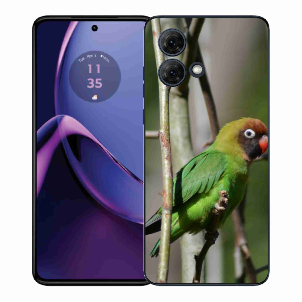 Gelový kryt mmCase na Motorola Moto G84 5G - papoušek agapornis