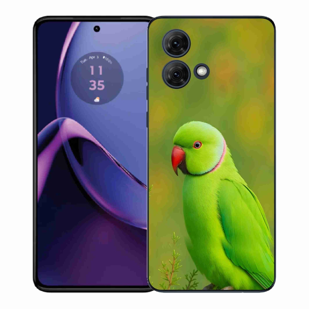 Gelový kryt mmCase na Motorola Moto G84 5G - papoušek alexandr 2