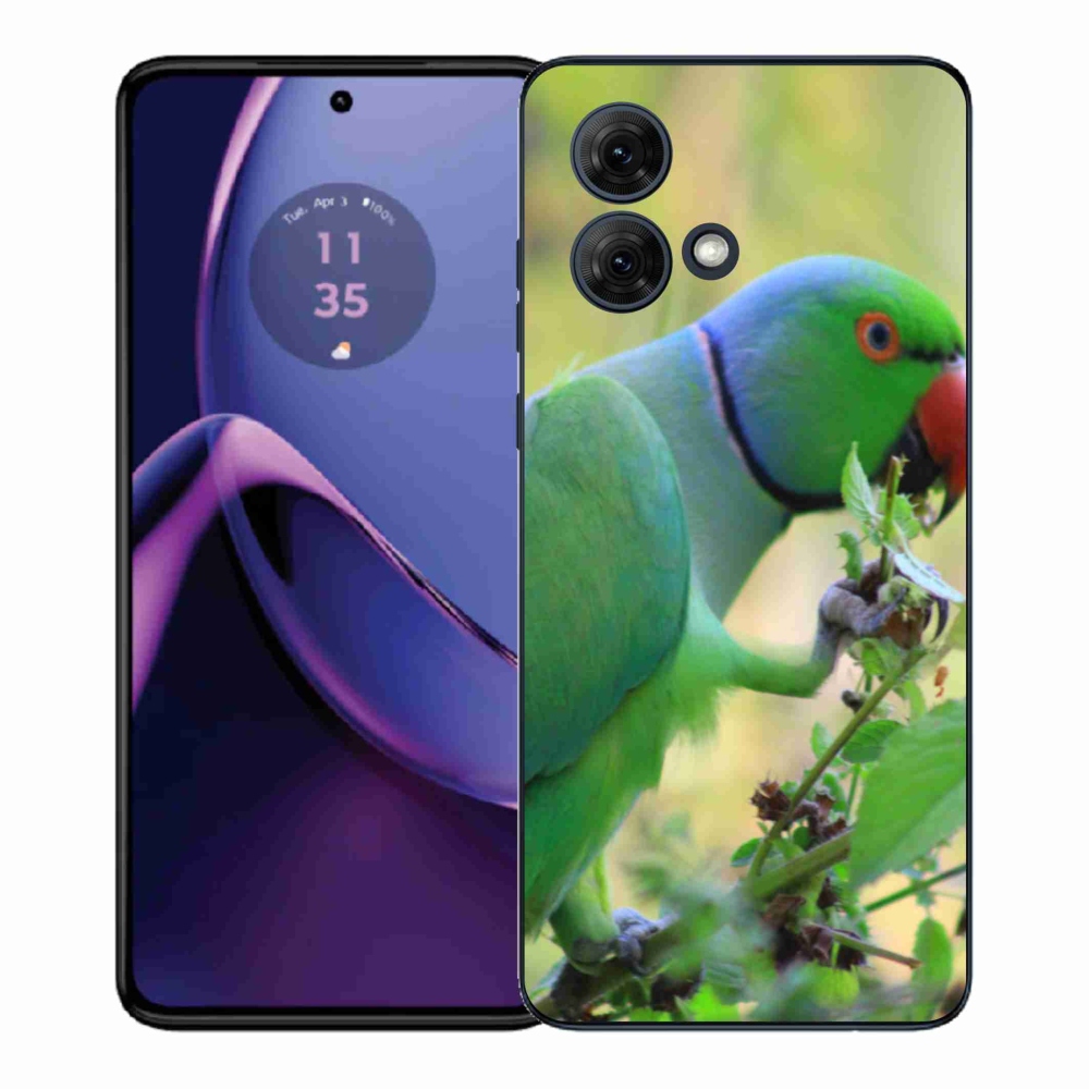 Gelový kryt mmCase na Motorola Moto G84 5G - papoušek alexandr