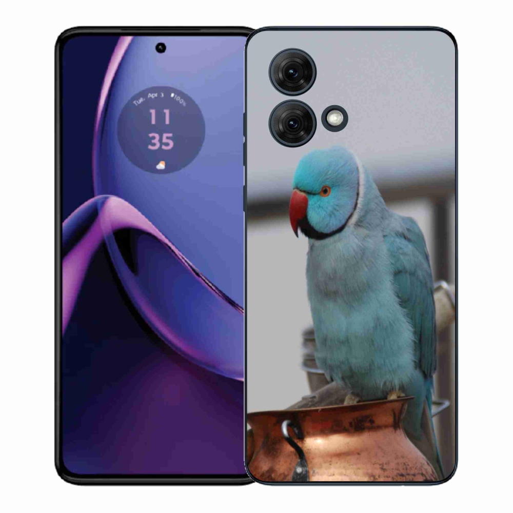 Gelový kryt mmCase na Motorola Moto G84 5G - papoušek alexandr modrý