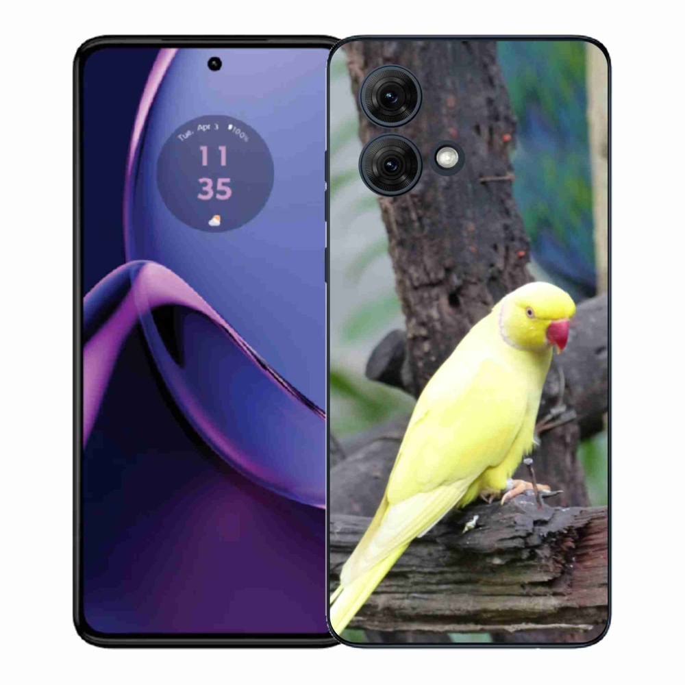 Gelový kryt mmCase na Motorola Moto G84 5G - papoušek alexandr žlutý