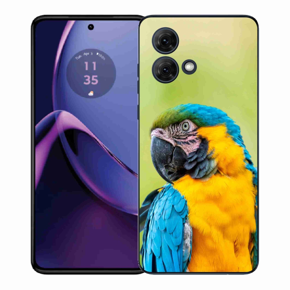 Gelový kryt mmCase na Motorola Moto G84 5G - papoušek ara 2
