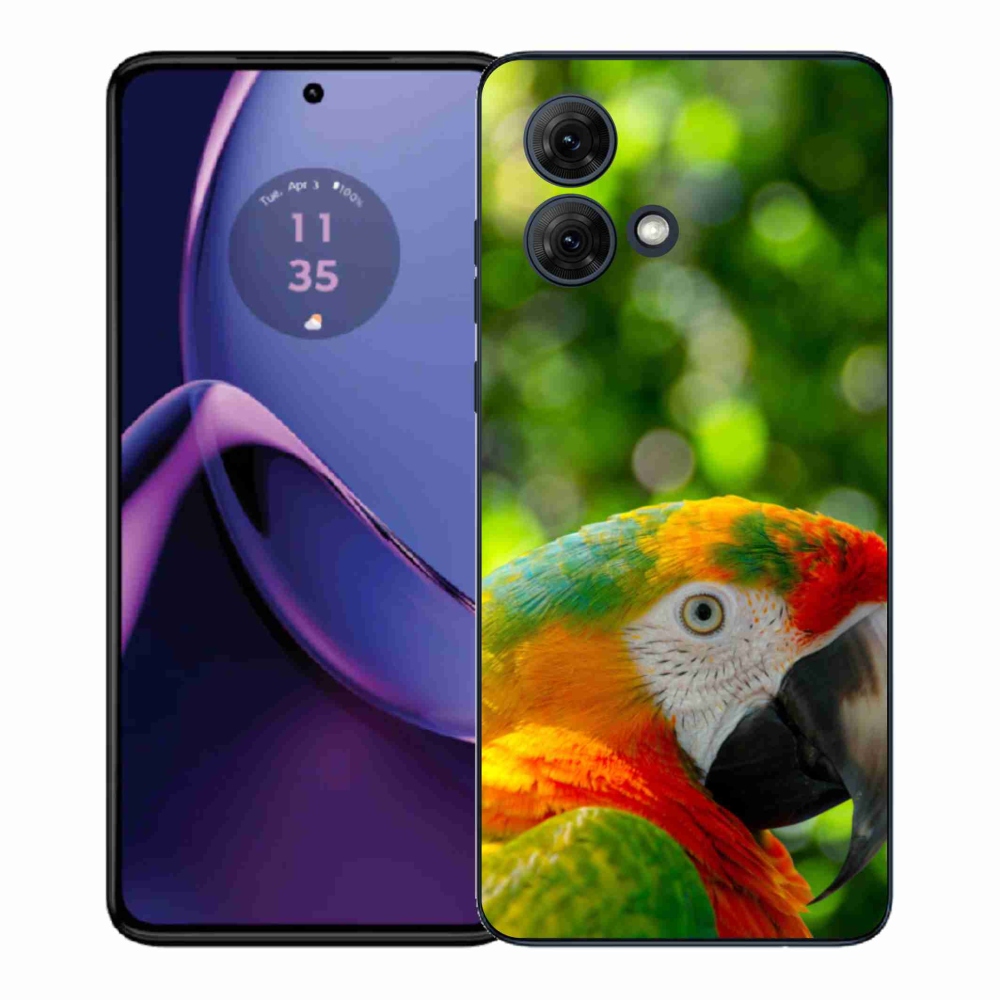 Gelový kryt mmCase na Motorola Moto G84 5G - papoušek ara 3