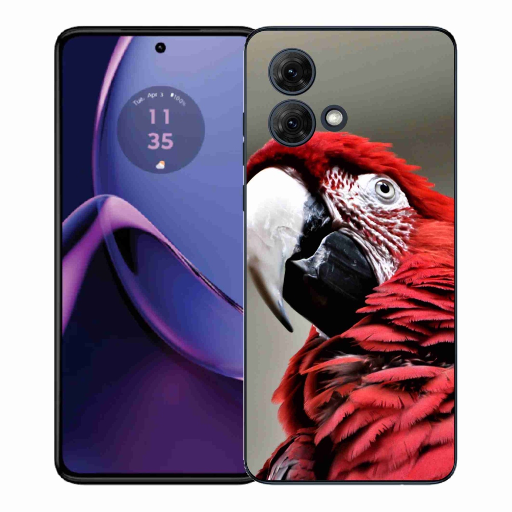 Gelový kryt mmCase na Motorola Moto G84 5G - papoušek ara červený