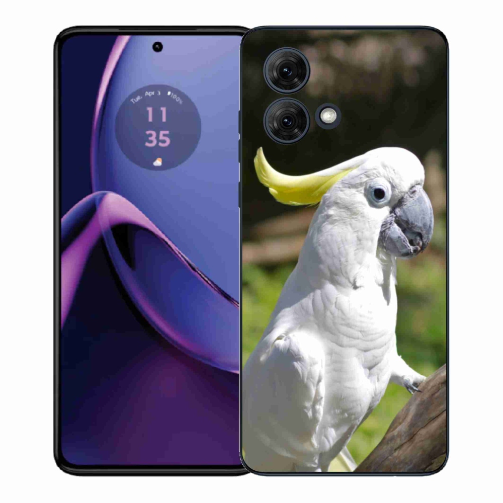 Gelový kryt mmCase na Motorola Moto G84 5G - papoušek kakadu 2