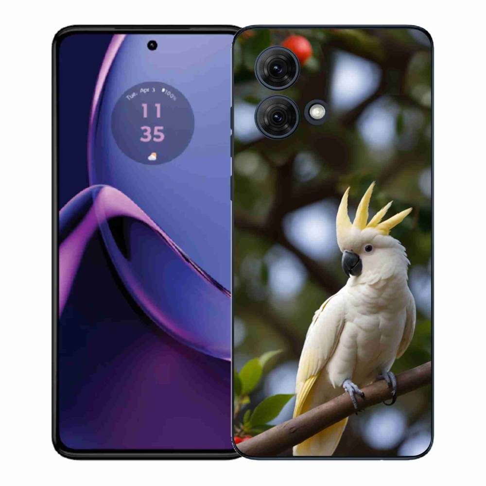 Gelový kryt mmCase na Motorola Moto G84 5G - papoušek kakadu 3