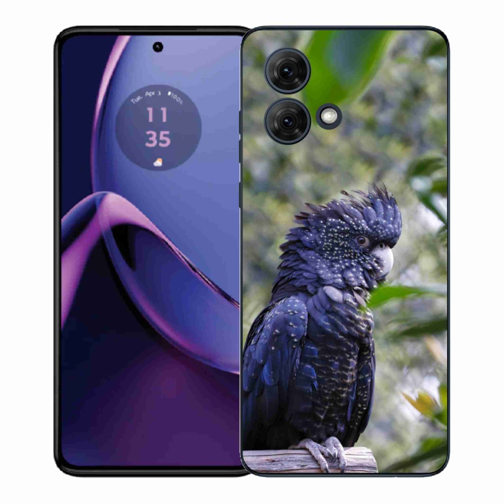 Gelový kryt mmCase na Motorola Moto G84 5G - papoušek kakadu černý