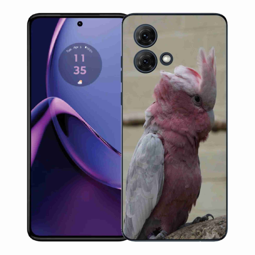 Gelový kryt mmCase na Motorola Moto G84 5G - papoušek kakadu růžový