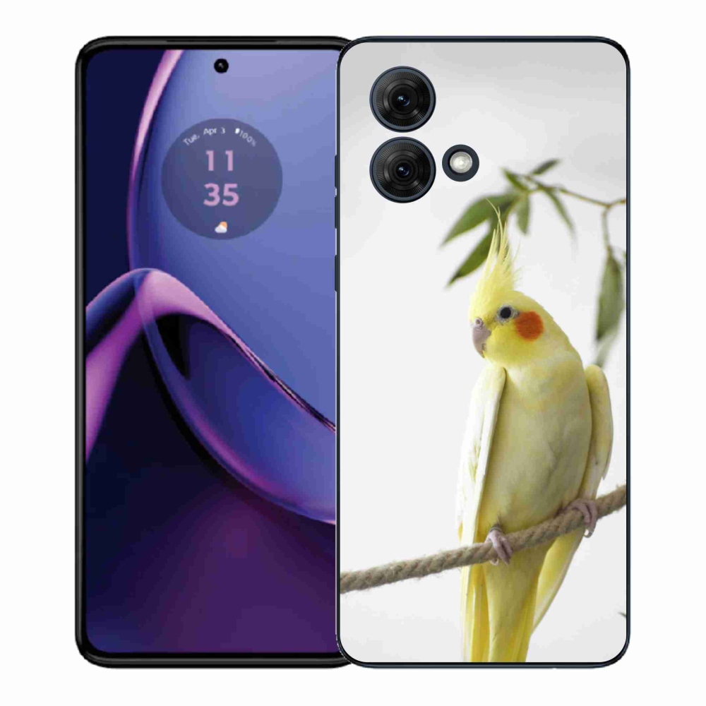Gelový kryt mmCase na Motorola Moto G84 5G - papoušek korela chocholatá
