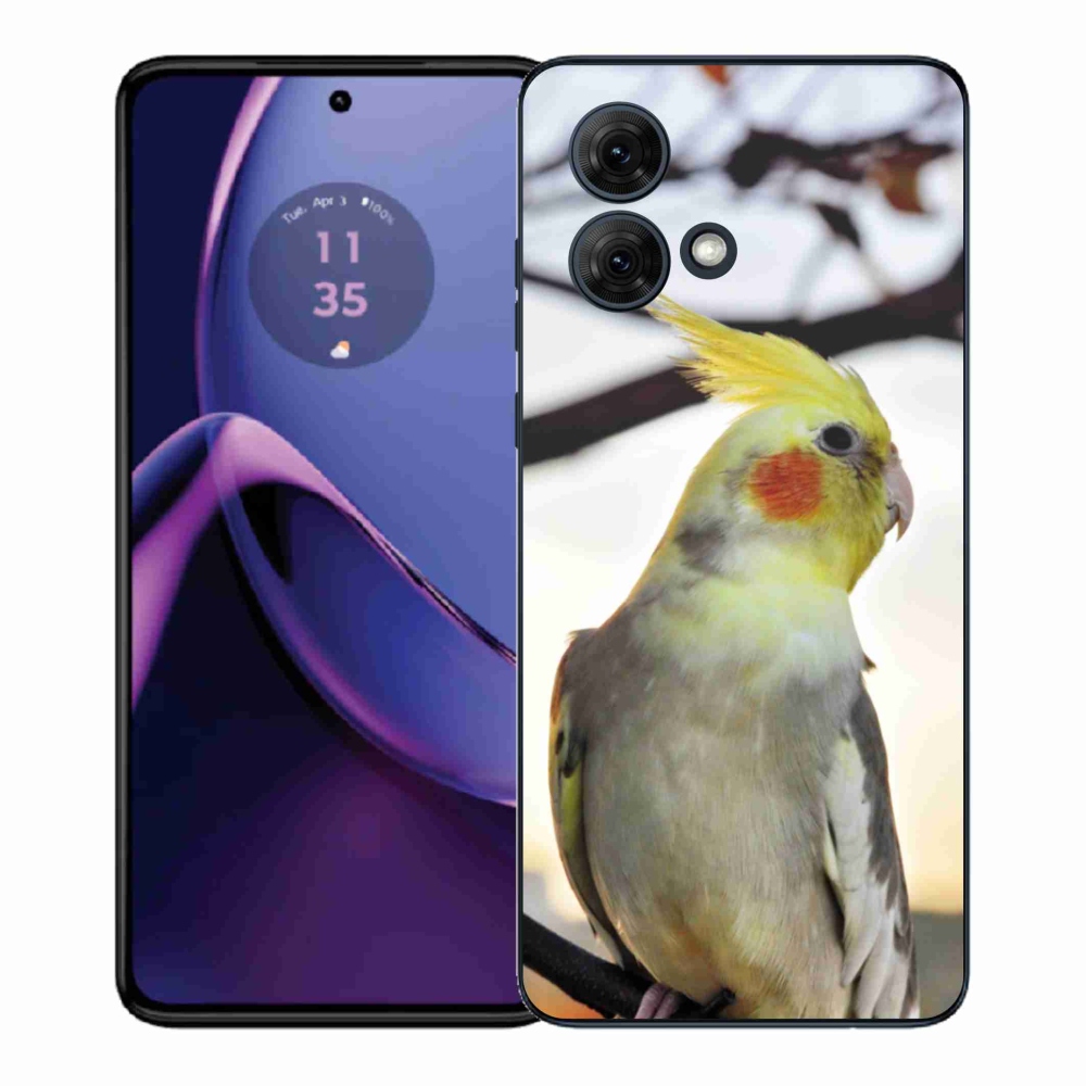 Gelový kryt mmCase na Motorola Moto G84 5G - papoušek korela