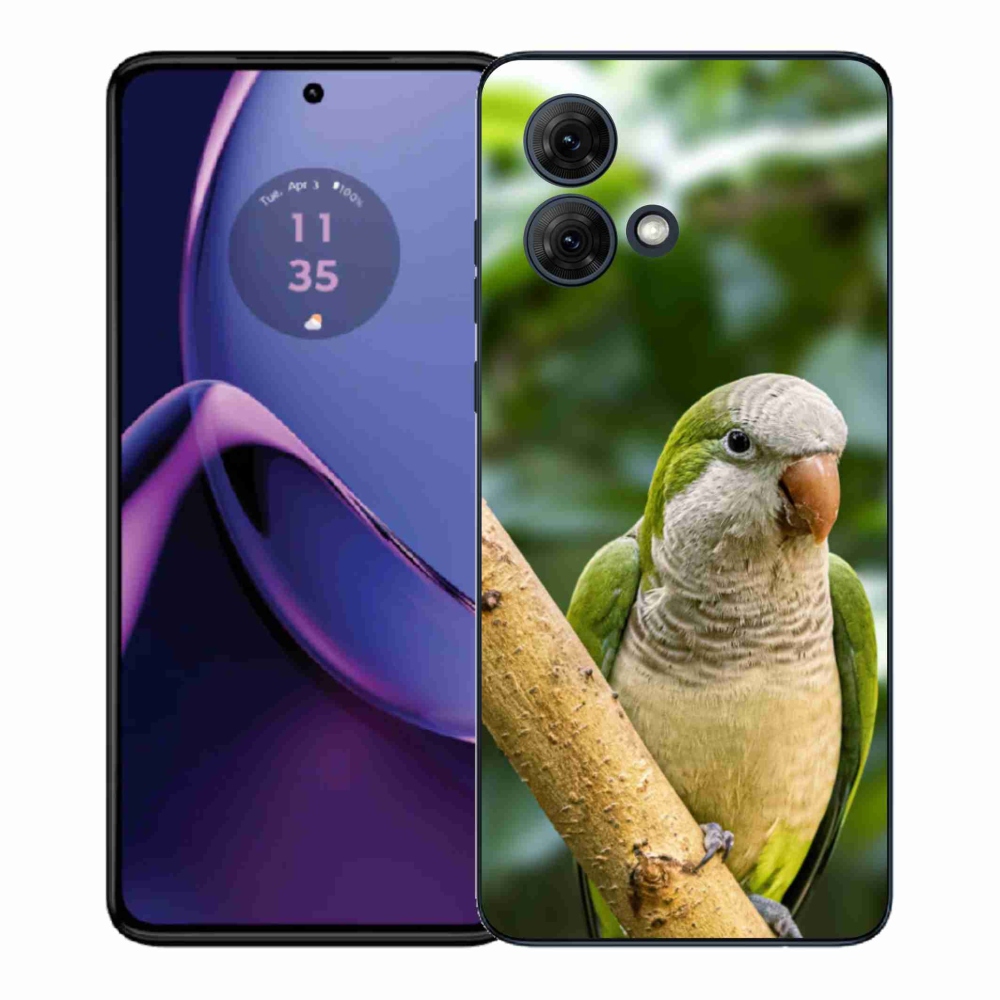 Gelový kryt mmCase na Motorola Moto G84 5G - papoušek mníšek