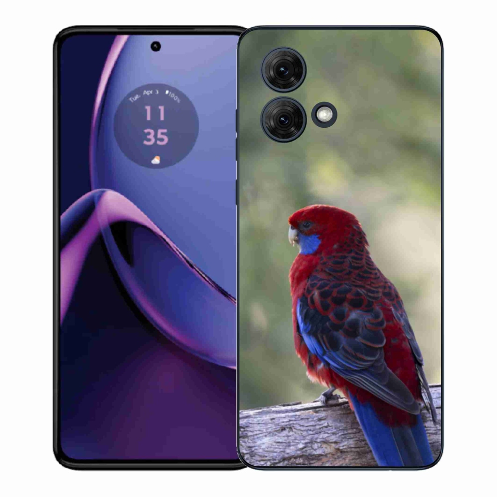 Gelový kryt mmCase na Motorola Moto G84 5G - papoušek rosela