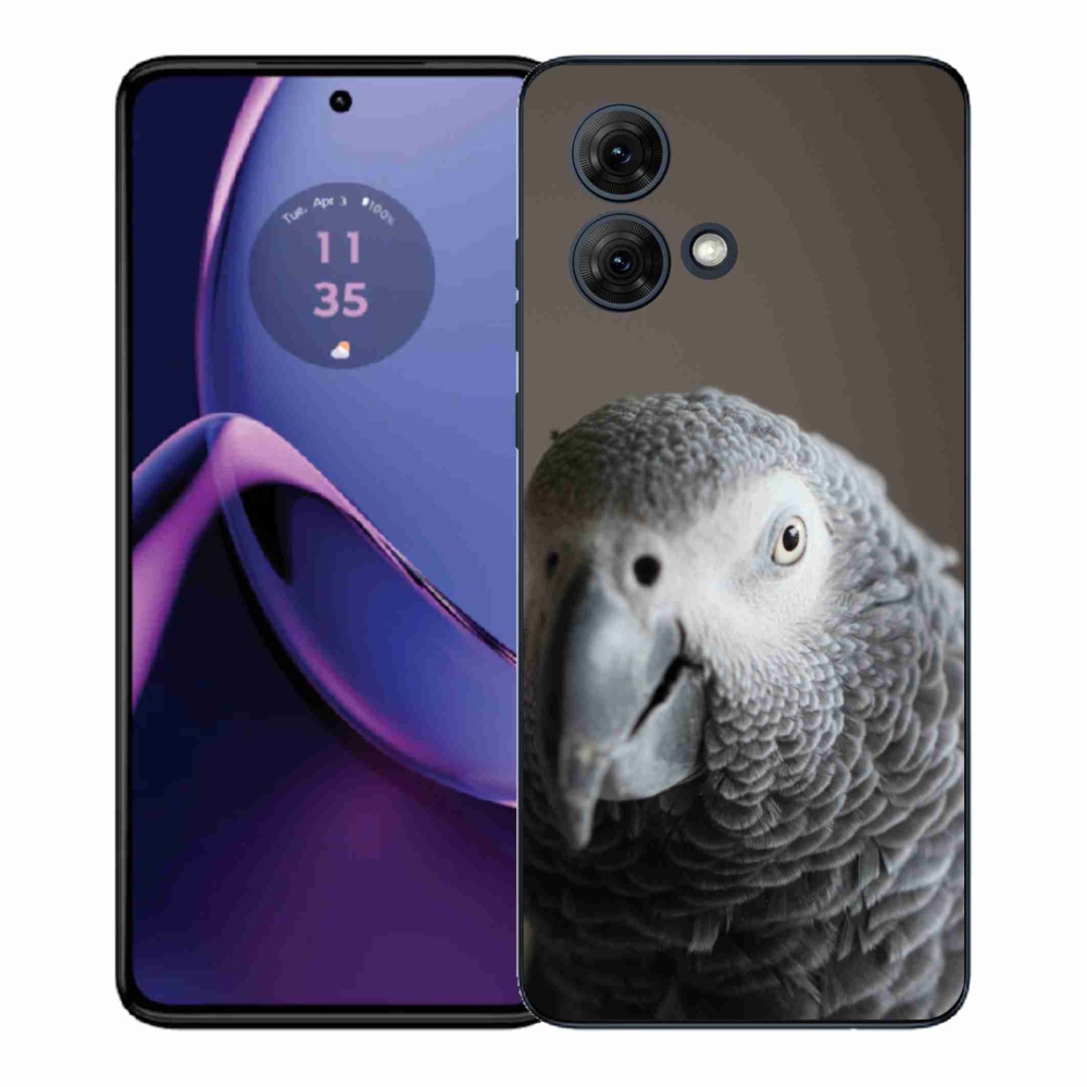 Gelový kryt mmCase na Motorola Moto G84 5G - papoušek žako 2