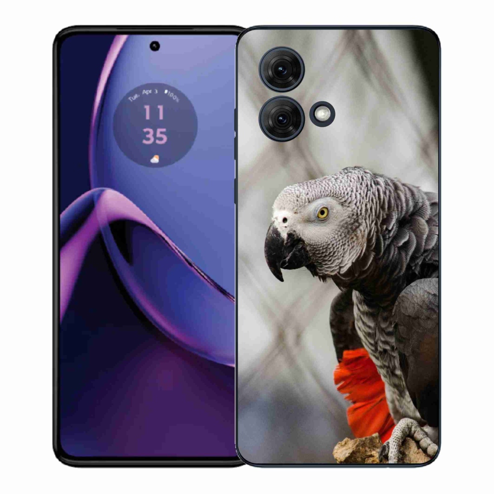 Gelový kryt mmCase na Motorola Moto G84 5G - papoušek žako 3