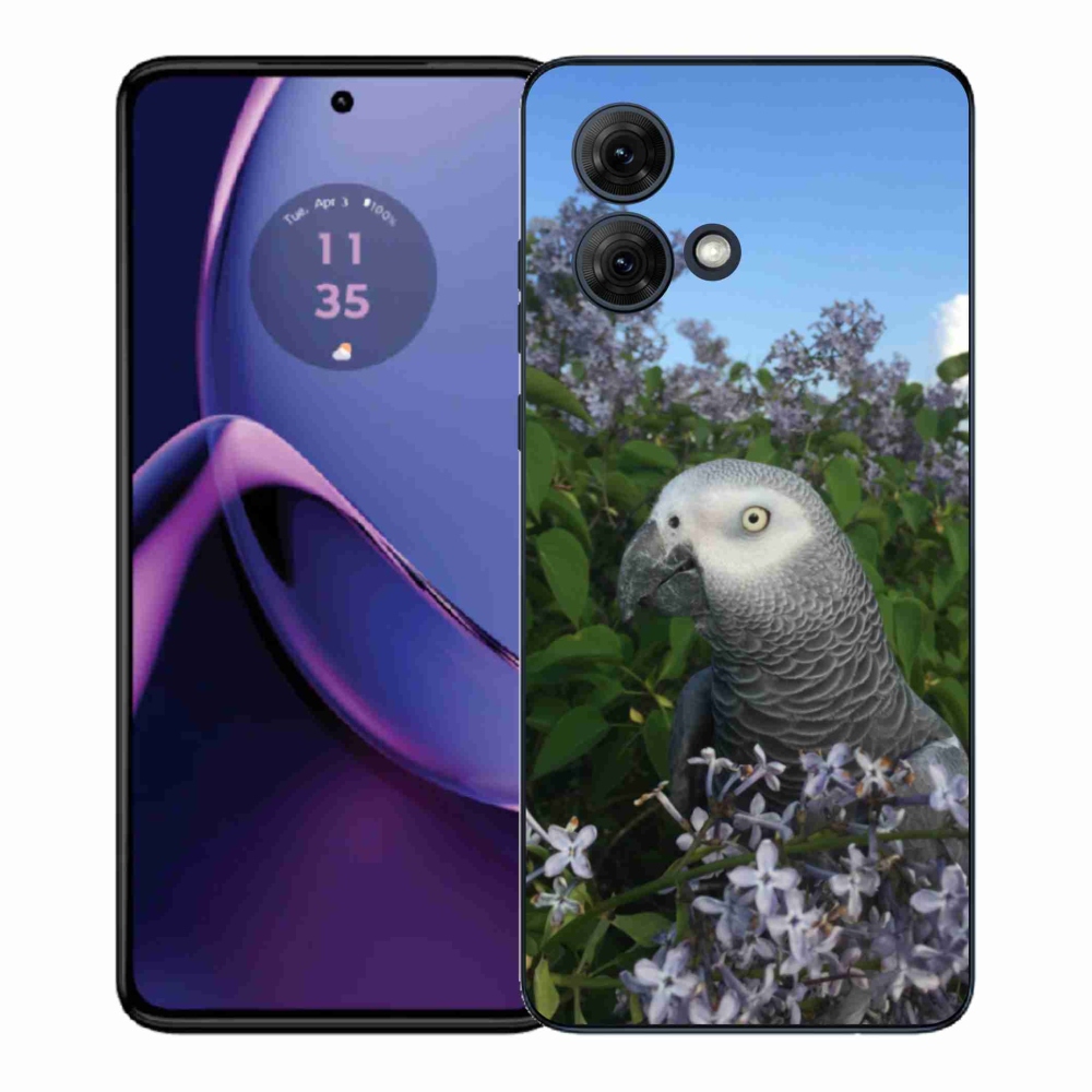 Gelový kryt mmCase na Motorola Moto G84 5G - papoušek žako