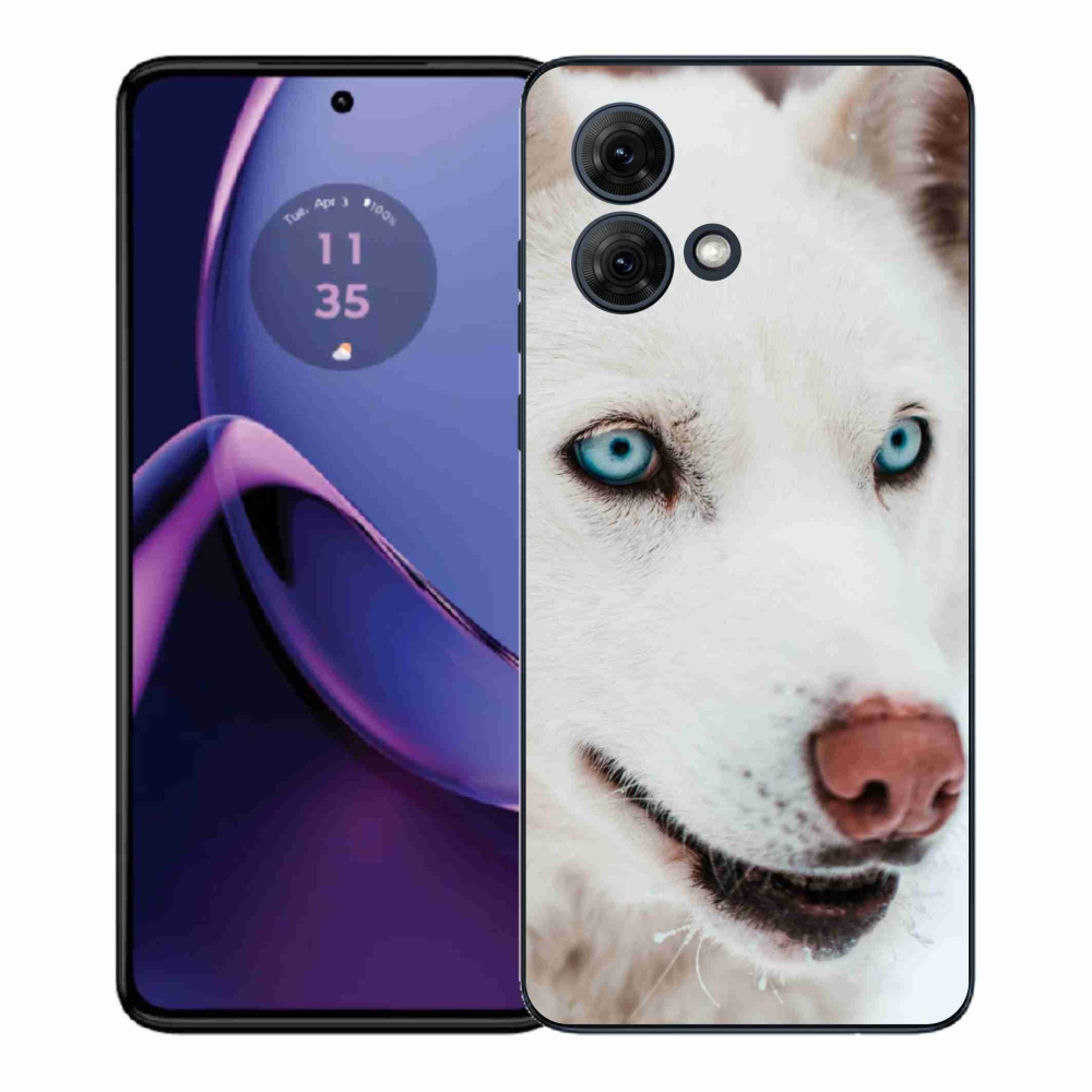 Gelový kryt mmCase na Motorola Moto G84 5G - psí pohled