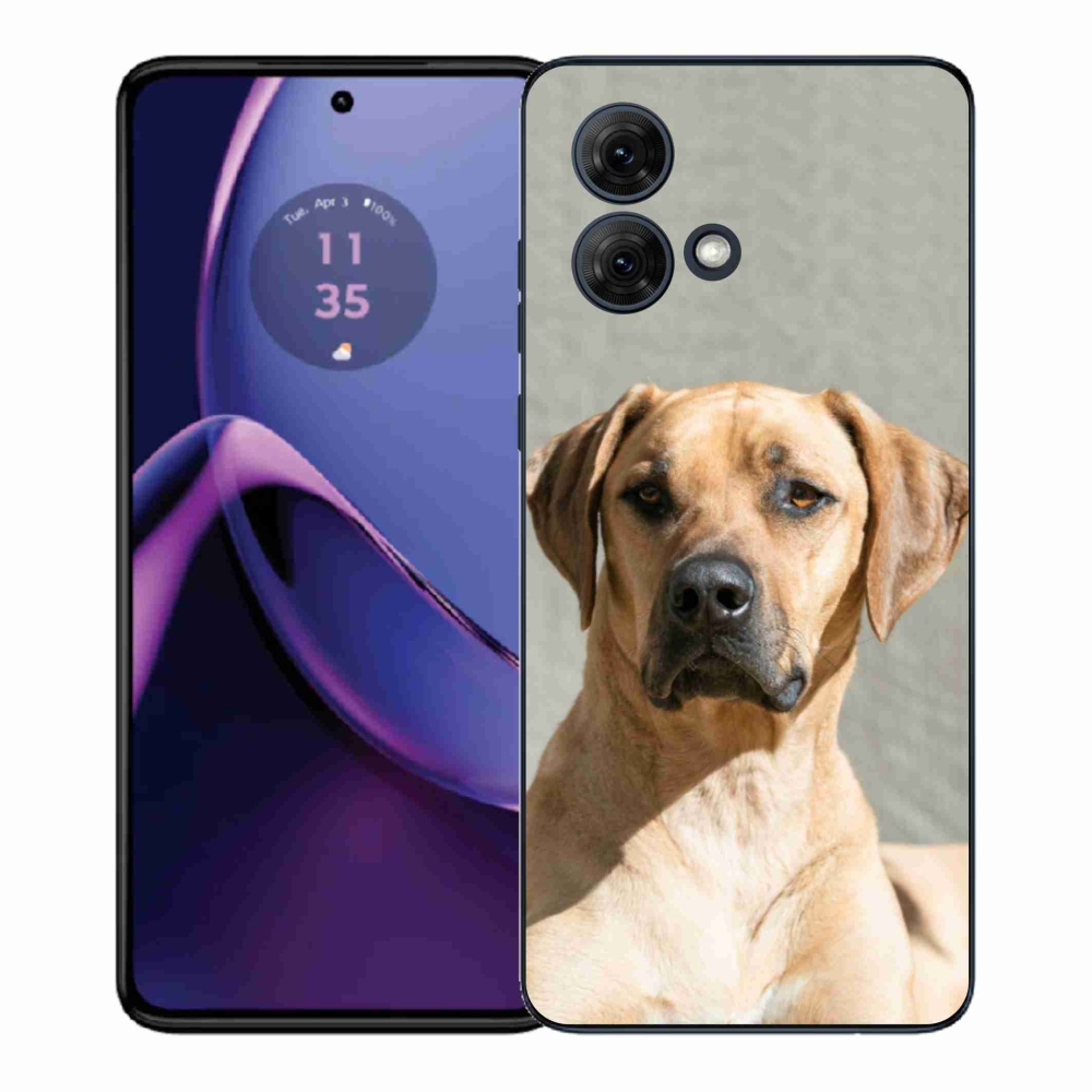 Gelový kryt mmCase na Motorola Moto G84 5G - ridgeback