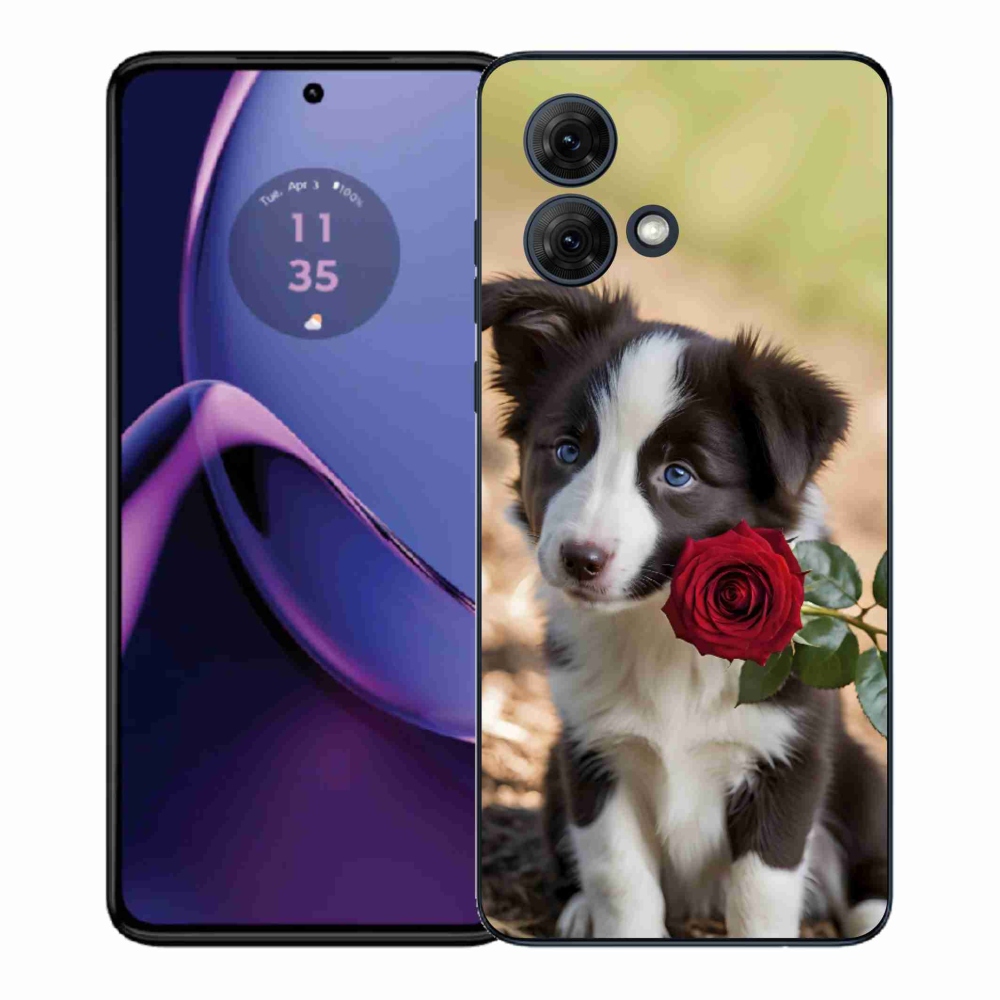 Gelový kryt mmCase na Motorola Moto G84 5G - roztomilá border kolie s růží
