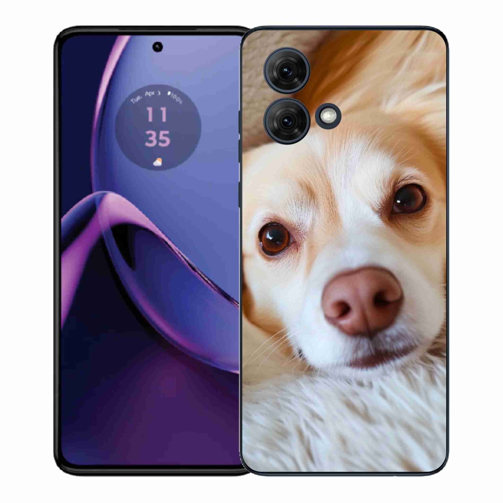 Gelový kryt mmCase na Motorola Moto G84 5G - Roztomilá čivava