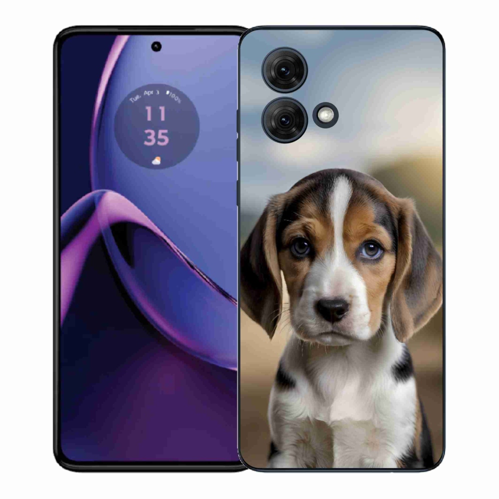 Gelový kryt mmCase na Motorola Moto G84 5G - roztomilý bígl