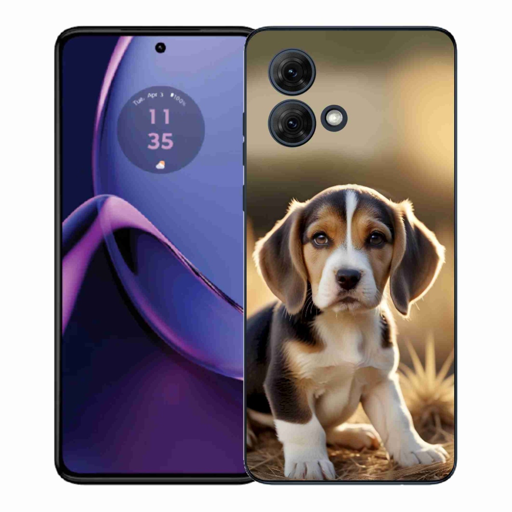 Gelový kryt mmCase na Motorola Moto G84 5G - roztomilý bígl
