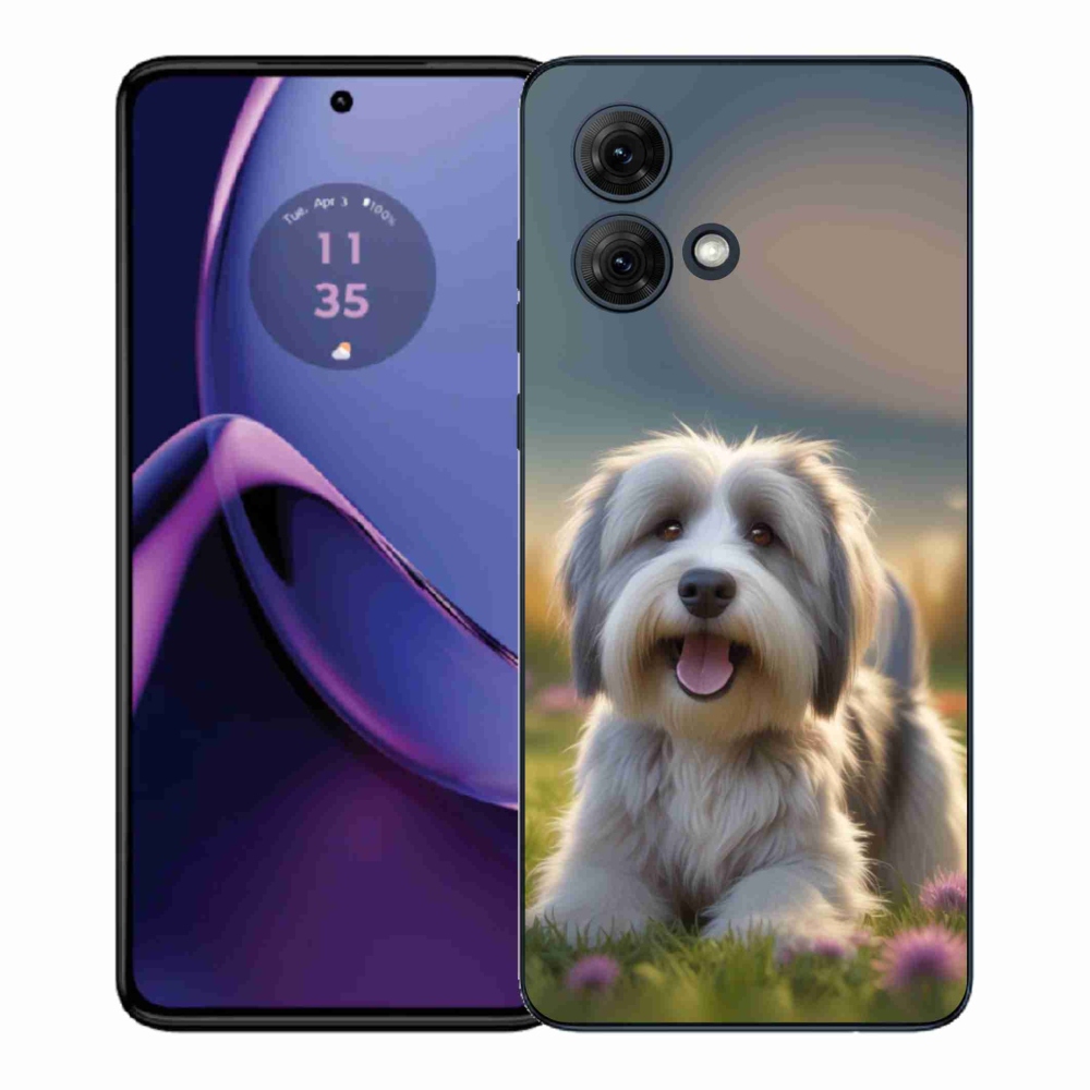 Gelový kryt mmCase na Motorola Moto G84 5G - roztomilý havanský psík