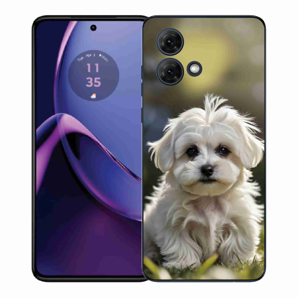 Gelový kryt mmCase na Motorola Moto G84 5G - roztomilý maltézský psík