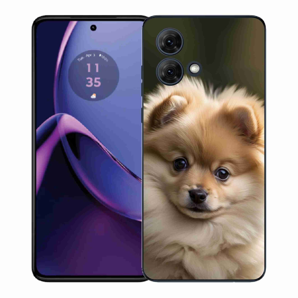 Gelový kryt mmCase na Motorola Moto G84 5G - roztomilý pomeranian 2