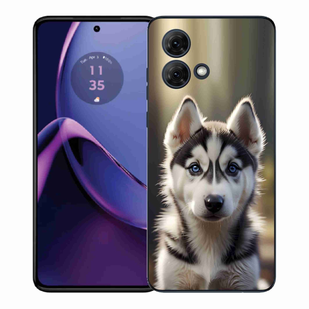 Gelový kryt mmCase na Motorola Moto G84 5G - roztomilý sibiřský husky