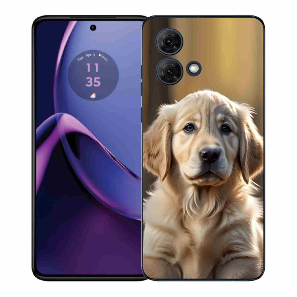 Gelový kryt mmCase na Motorola Moto G84 5G - roztomilý zlatý retrívr