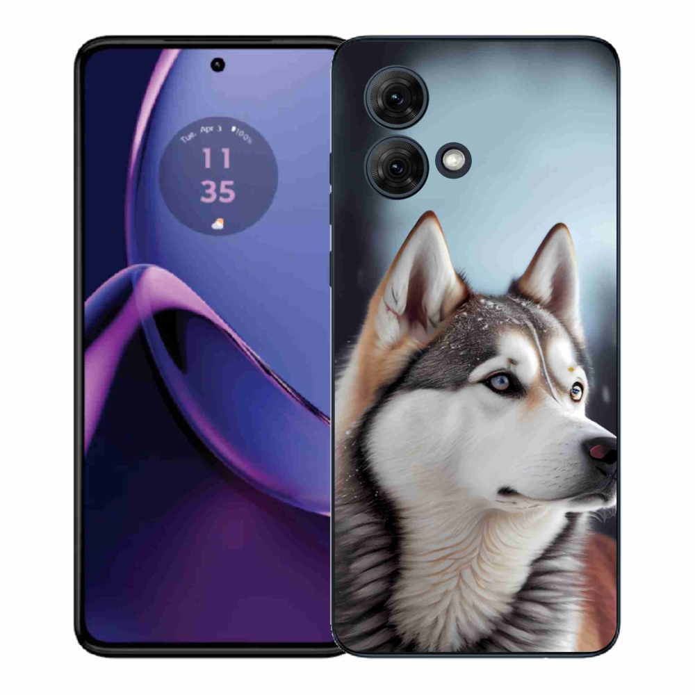 Gelový kryt mmCase na Motorola Moto G84 5G - sibiřský husky