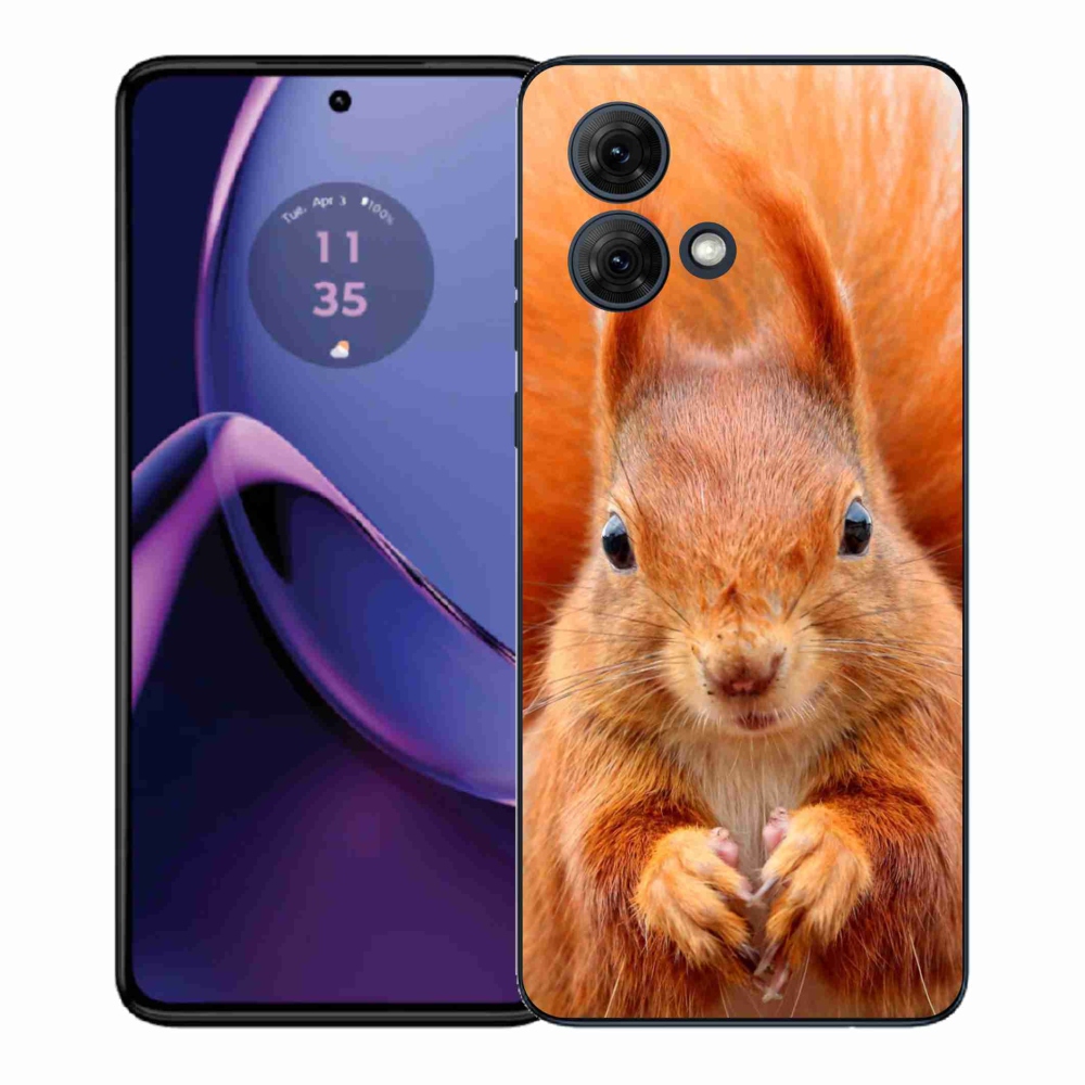 Gelový kryt mmCase na Motorola Moto G84 5G - veverka